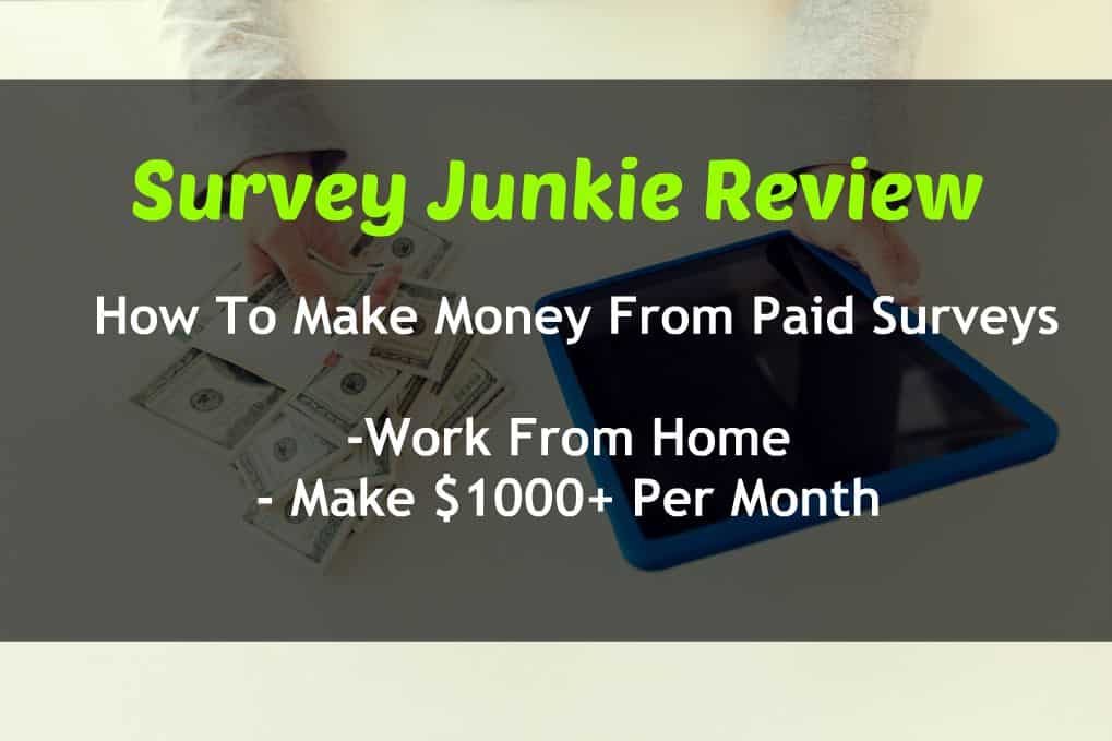 Survey Junkie Review Get Paid Daily With Online Surveys For Money - survey junkie review get paid daily with online surveys for money unconventional prosperity